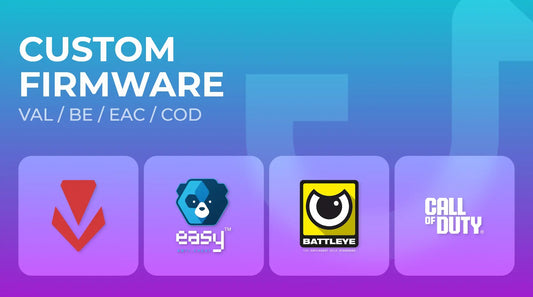 1:1 Emulated FW - Valorant/BE/EAC/ACE