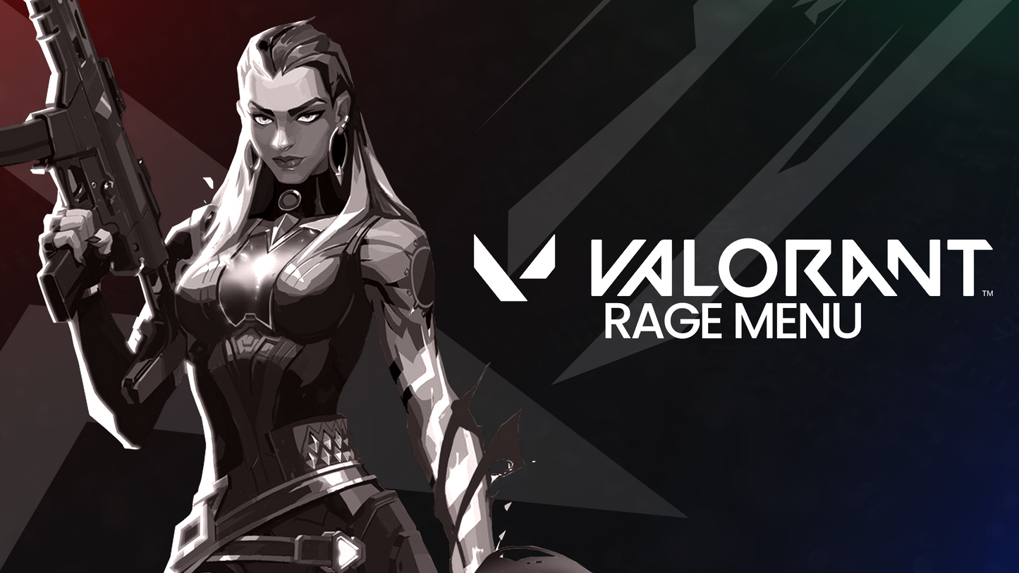 Valorant Rage Menu + Spoofer