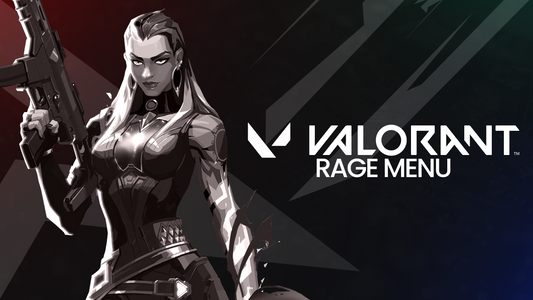 Valorant Rage Menu + Spoofer